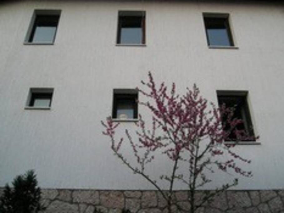 Apartment In Old Town - Top Location Сараево Экстерьер фото